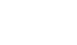 Plapiqui